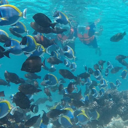 Club Blu Hotell Hulhumale Exteriör bild