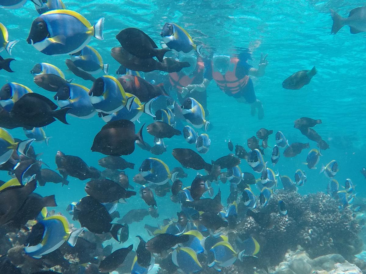 Club Blu Hotell Hulhumale Exteriör bild